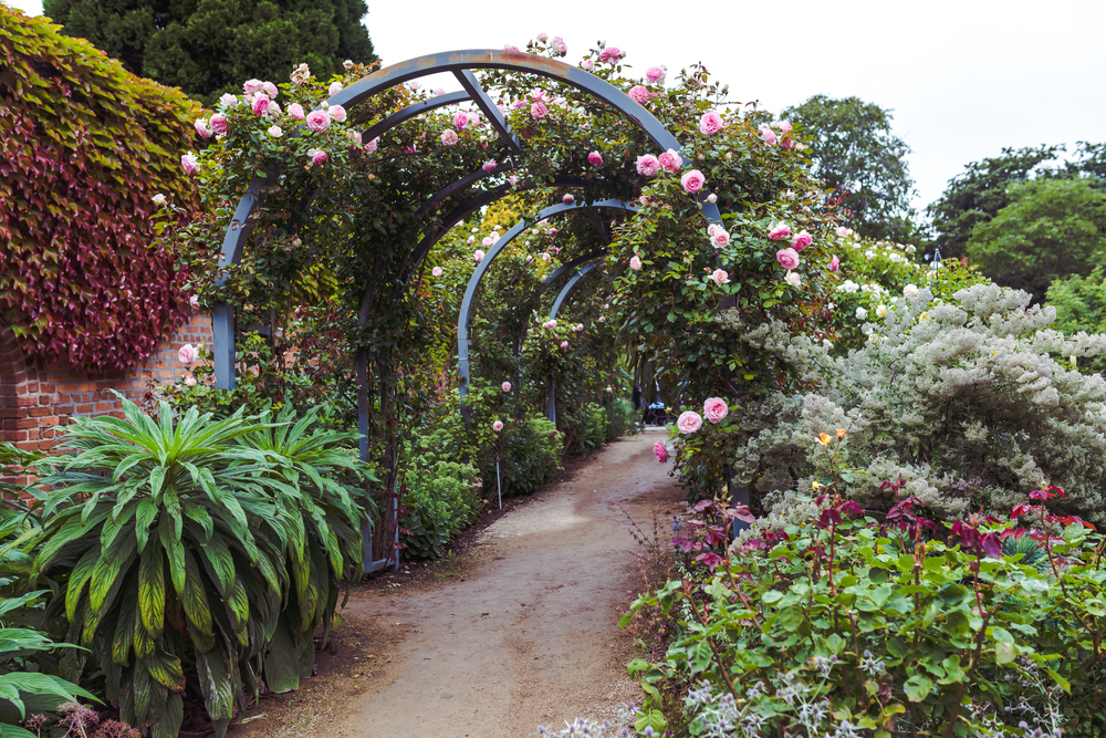 I Royal Tasmanian Botanical Gardens