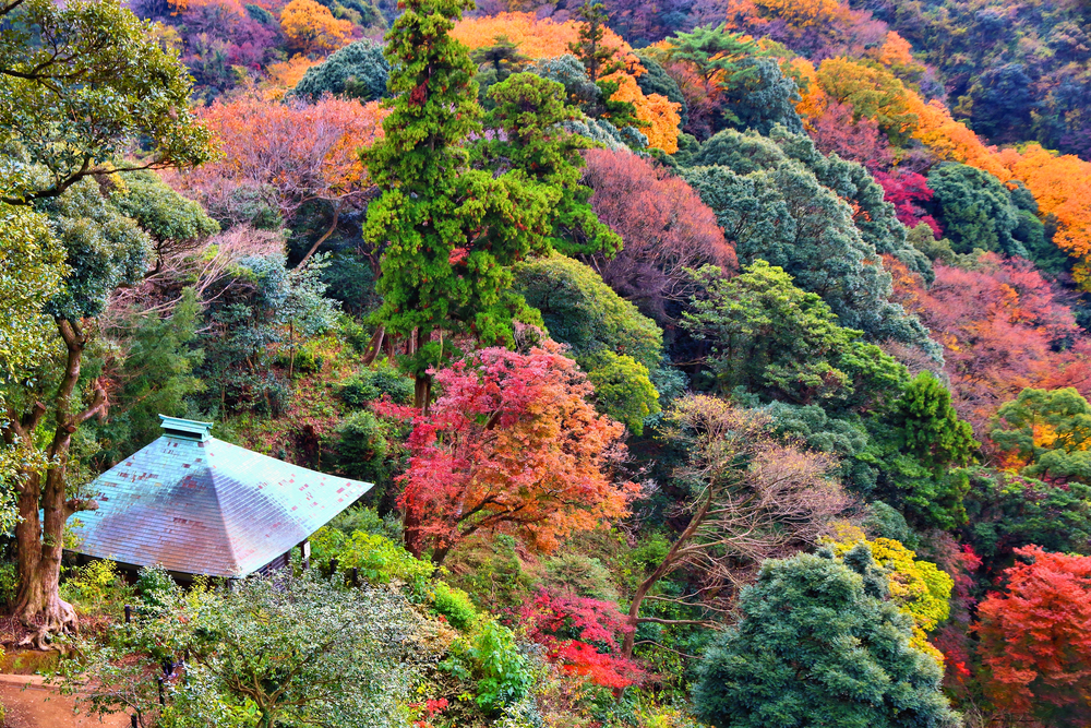 Kencho-ji in autunno